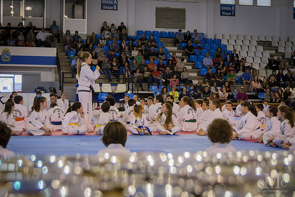 DIA DEL TAEKWONDO ABRIL 2017_3624.JPG